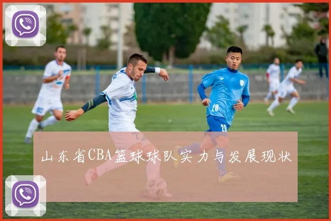 山东省CBA篮球球队实力与发展现状