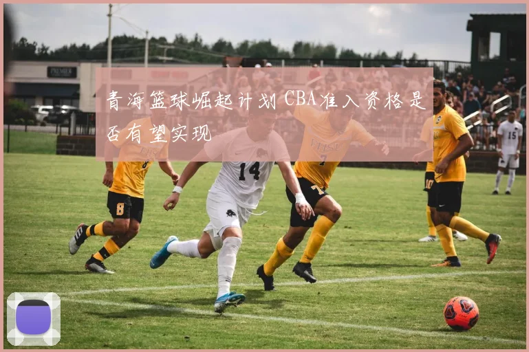 青海篮球崛起计划 CBA准入资格是否有望实现