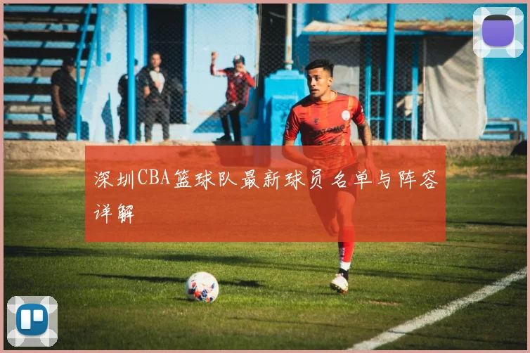 深圳CBA篮球队最新球员名单与阵容详解