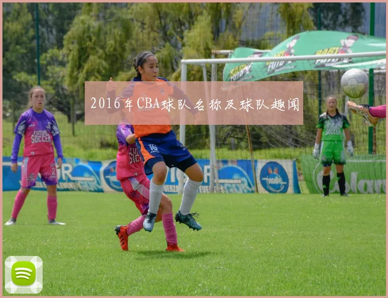 2016年CBA球队名称及球队趣闻